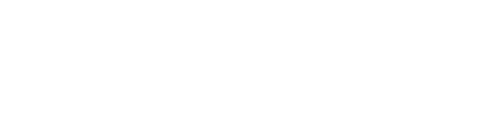 Elite Security